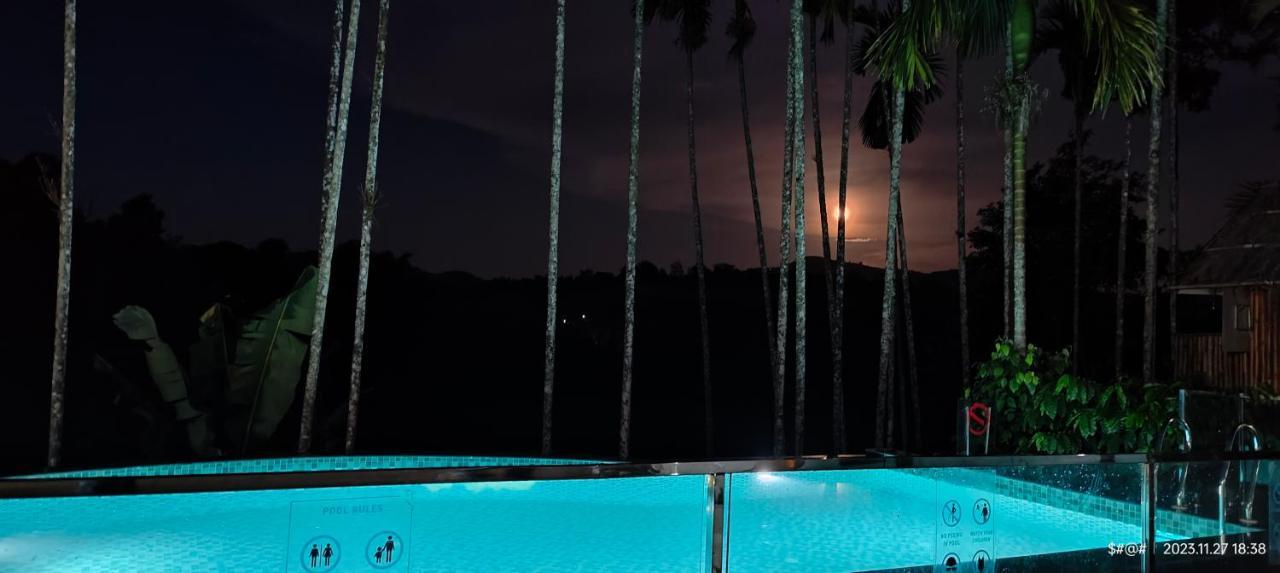 The Pool Villa Coorg Madikeri Exteriér fotografie